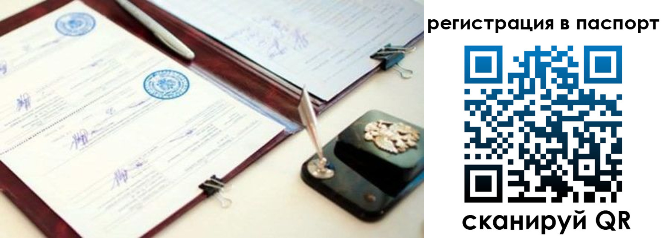прописка поиск в Михайловске